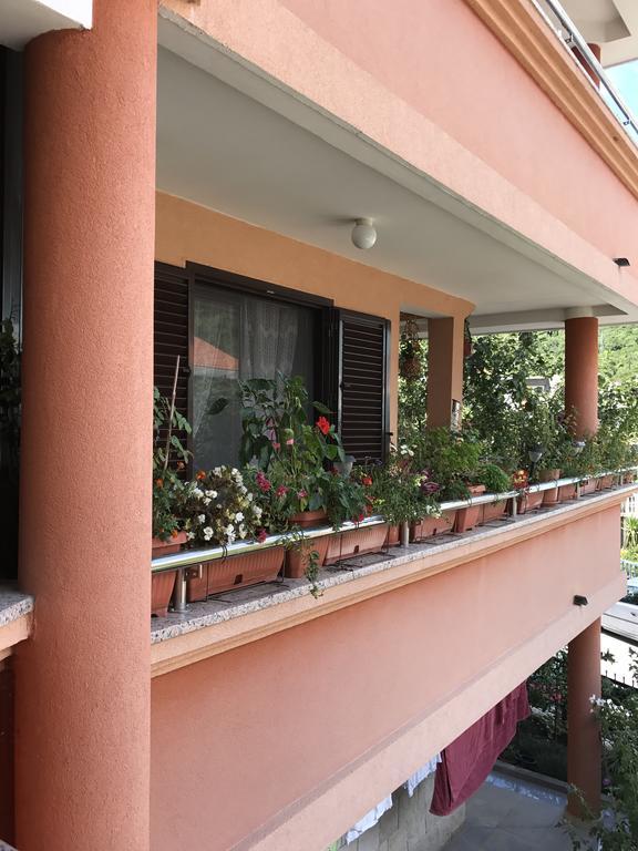 Apartments Zvicer - Milica Budva Exterior photo